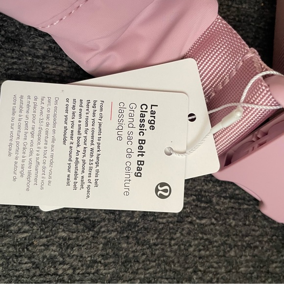 ✨SOLD✨Large Classic Belt Bag 3.5L - Picture 2 of 6